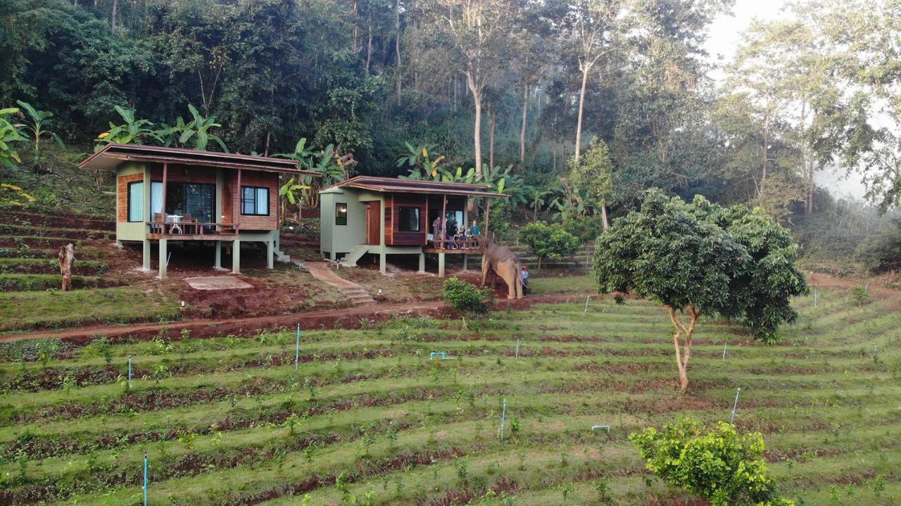 Chiang Mai Elephant Friends Exterior photo